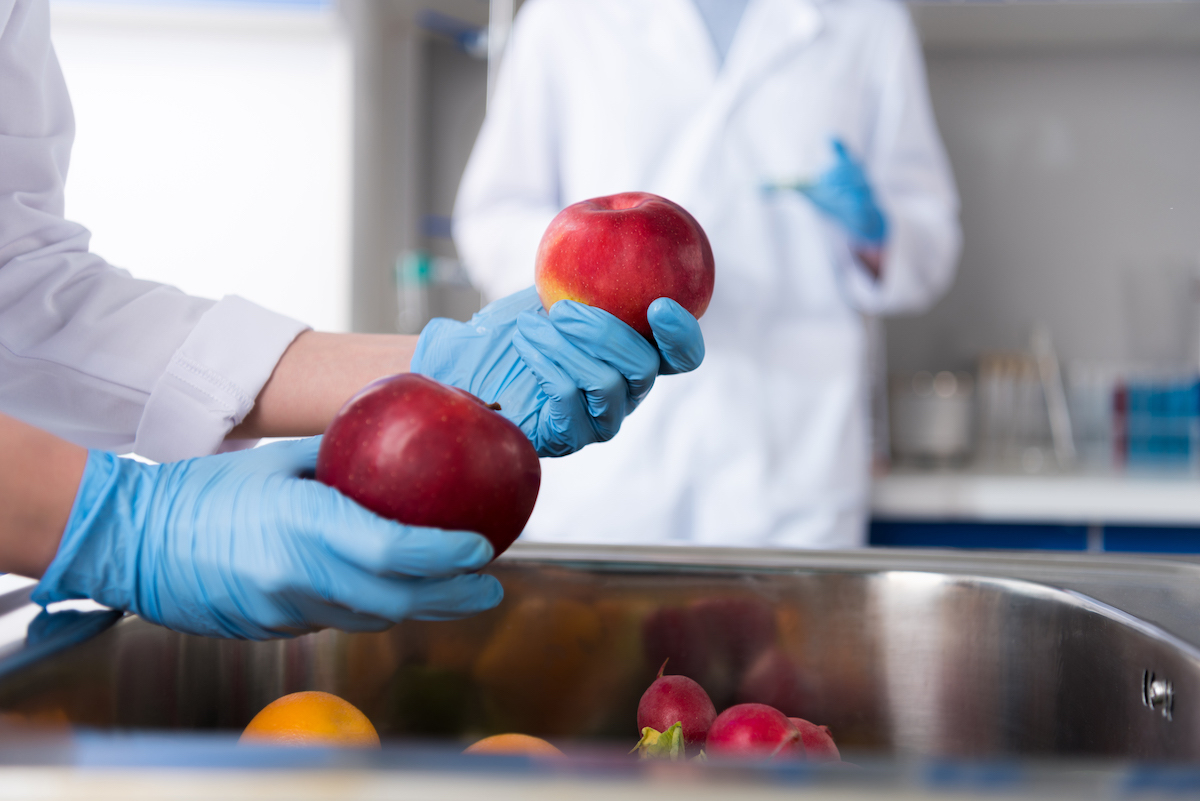 Prevenir contaminantes fisicos seguridad alimentaria